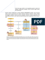 Faal Adrenal