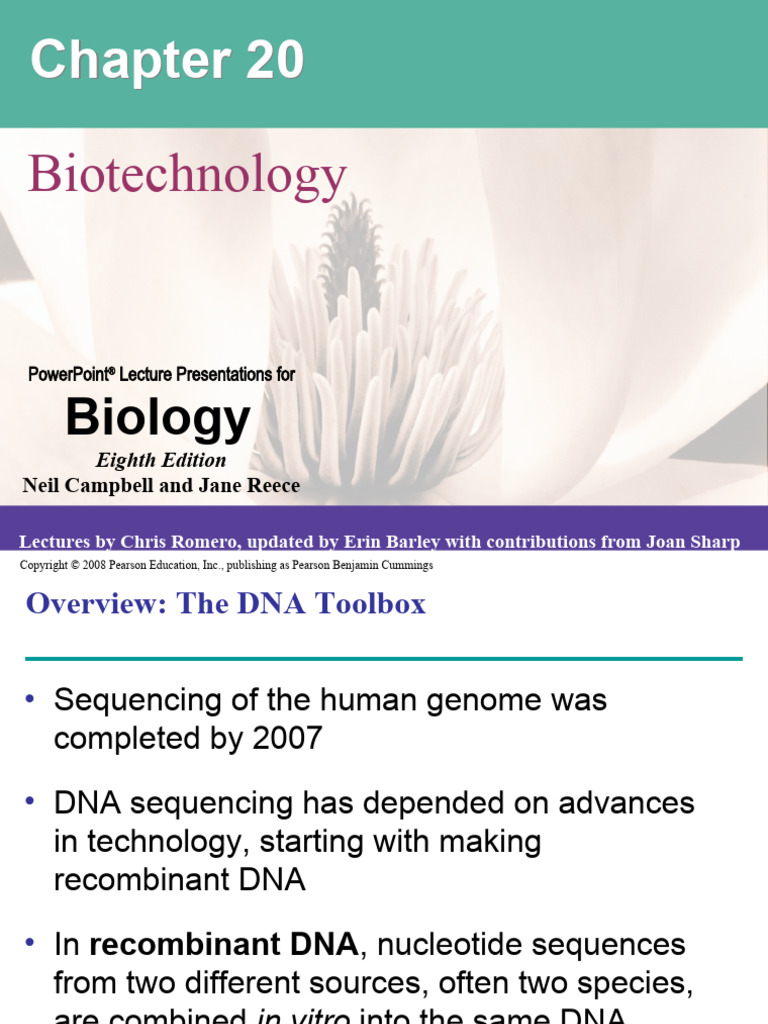20 Lecture Presentation Edited | PDF | Molecular Cloning | Plasmid