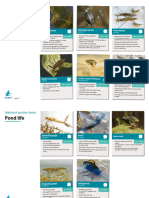 Pond Life: Wetland Spotter Sheet