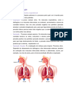 Trabalho de Fisiologia-1 2