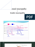 Peroneal Neuropathy