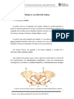 MANUAL ANATOMÍA Tema 5 Huesos de La Pelvis