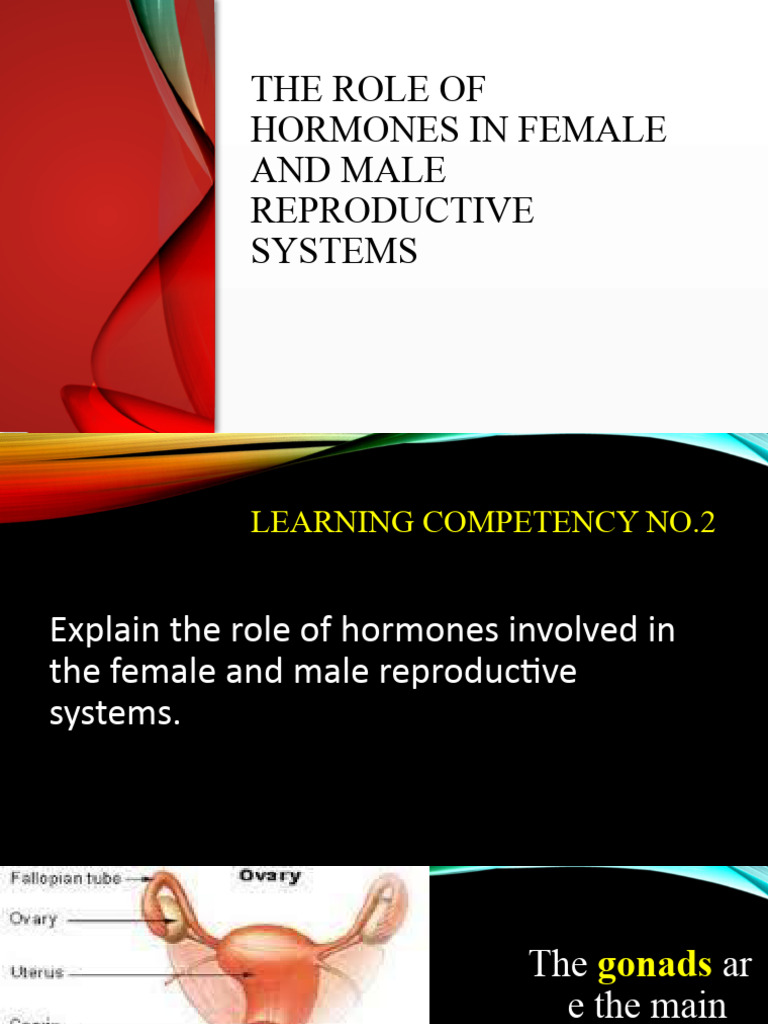 LC 2 Role of Hormones in Male and Female Rs | PDF | Luteinizing Hormone ...