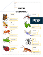 Insects