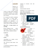 Clase 3 Fisiopatología - MECANISMO DE INFLAMACIÓN