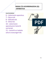 Ikasgaia - Giza Harremana Eta Koordinazioa (II) - Lokomozio-Aparatua 21-22