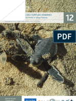 BV Turtle Conservation FRENCH A5 Handbook