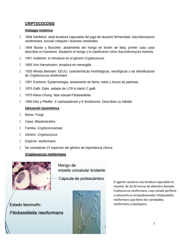 Criptococosis: Historia, Epidemiología y Tratamiento | PDF | VIH / SIDA ...