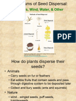 Mechanisms of Seed Dispersal