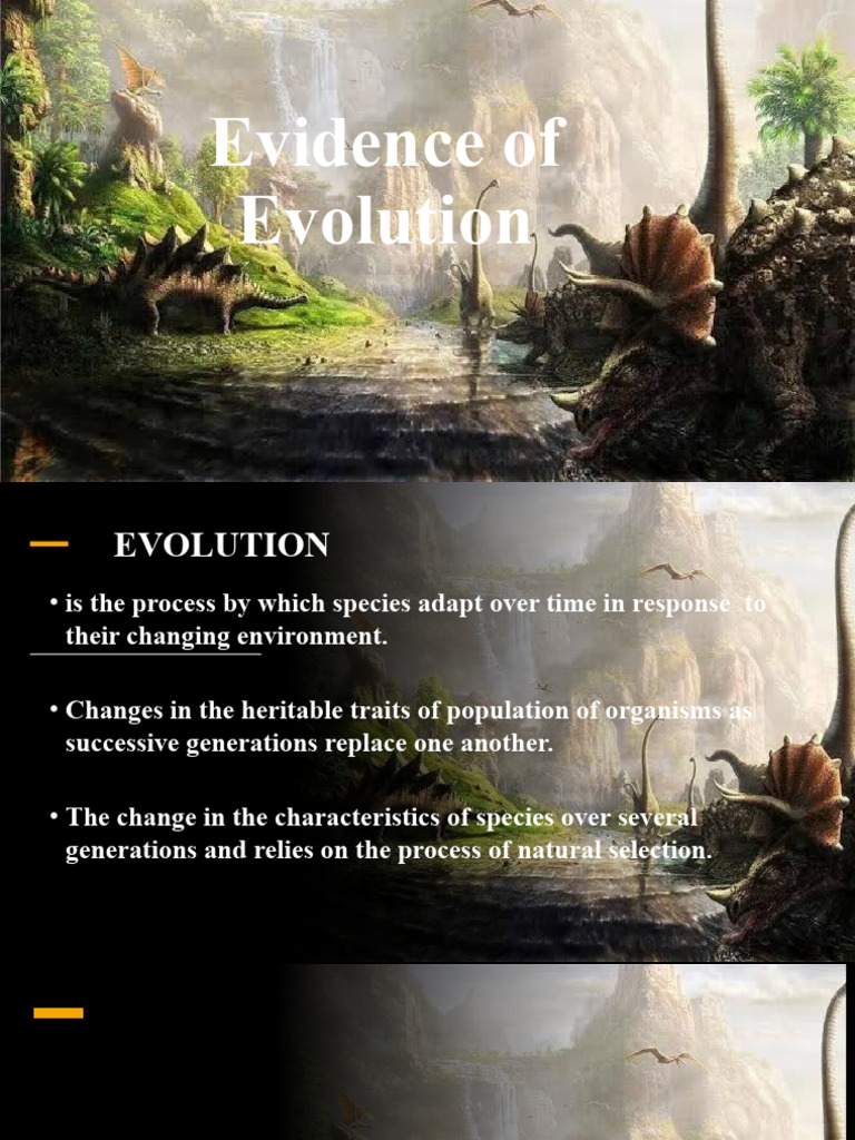 Evidence of Evolution and Fossils | PDF | Mutation | Evolution