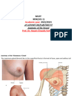 5th ULAnatomy of The Breast, Axillary Lymph Node