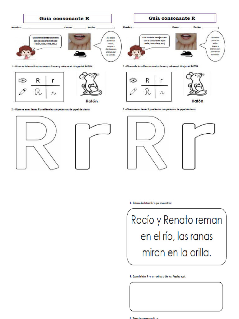 Guia de La R | PDF