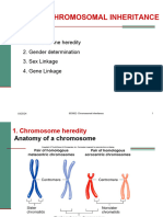 Chuong 3 Chromosomal Inheritance