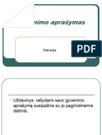 Gyvenimo Aprasymas CV 2