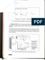 Mecanismos de Daño