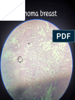 Histopathology Slides