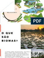 Biomas Brasileira