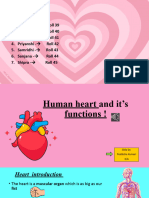 Human Heart and It's Functions !