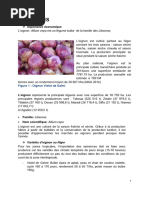 Techniques de culture de l'igname en Côte d'Ivoire | PDF | Agriculture ...