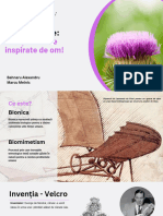 LCI Prometeu-Prim": Proiect Plante