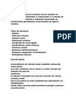 Sistema Renal (Dani)