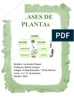 Informe de Las Plantas Nivel Primario