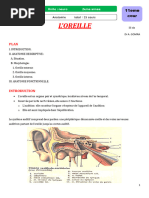 Anatomie de la Sphère ORL | PDF | Oreille | Système vestibulaire