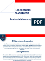 Laboratorio Anatomia Microscopica 2023