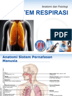 Anfis Sistem Respirasi 