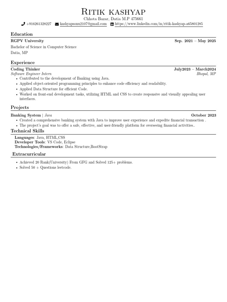 Aspiring Software Engineer Profile | PDF | Art | Business