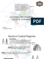 MODELOS Y FORMAS DENTALES SEMESTRE I (Anatomia Del Incisivo Central Superior)