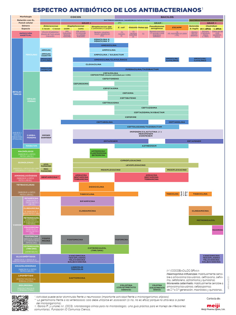 espectro-antibioticos-pdf-penicilina-microbiolog-a