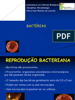 Aula 02 Bactérias