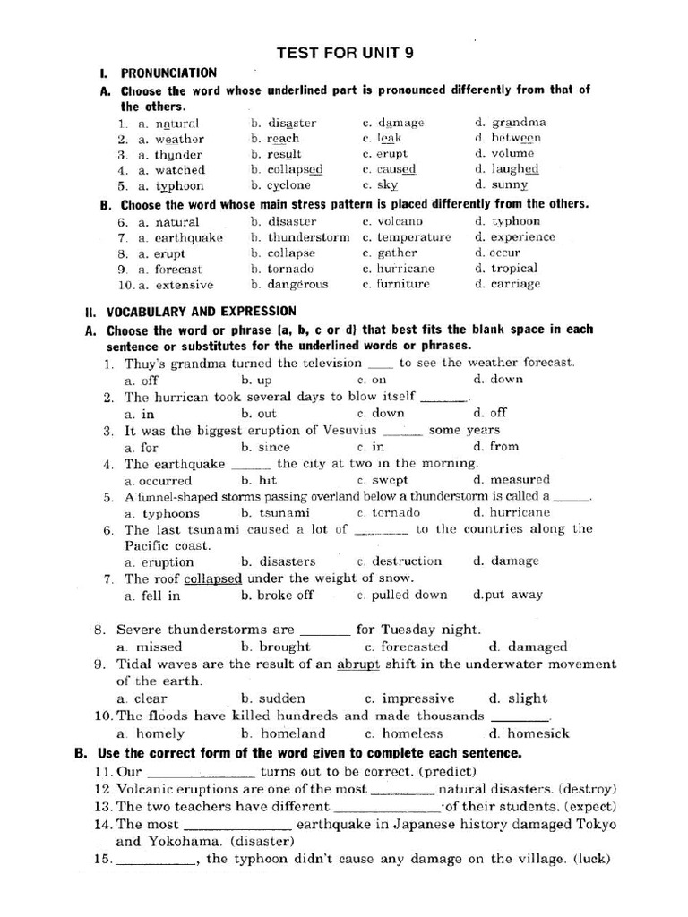 Test Unit 9 | PDF
