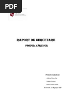 Raport de Cercetare de Marketing PDF