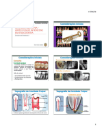 Anatomia Dentária - ESAMAZ