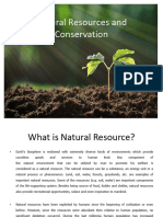 Natural Resources - Forests