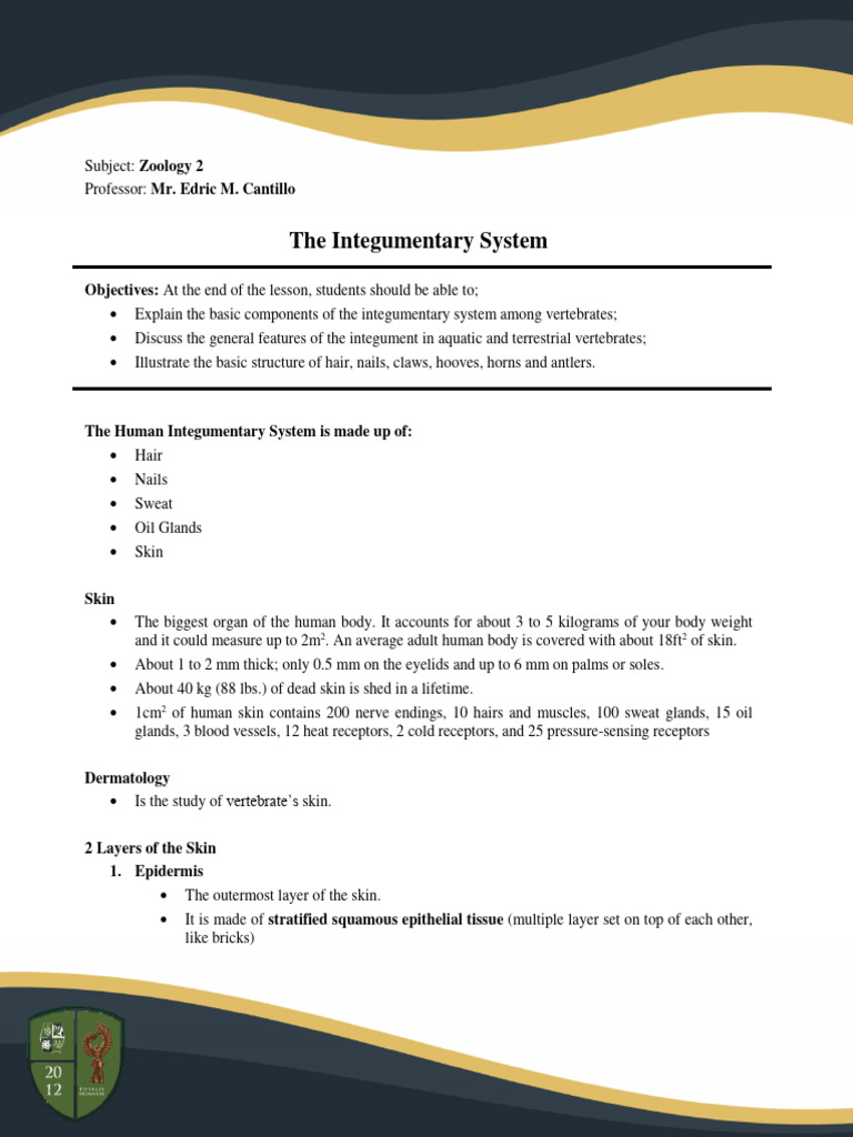 The Integumentary System Lecture Notes | PDF | Integumentary System ...