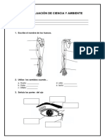 Examen 11 - de Ciencia