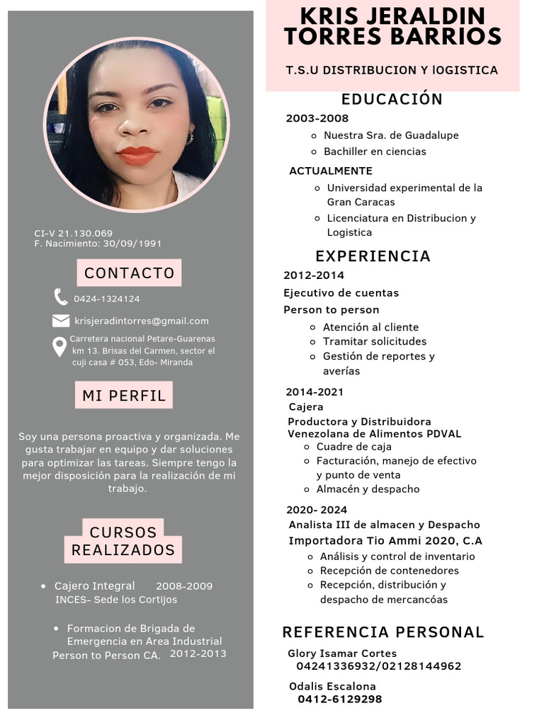 Perfil Profesional de Kris Torres | PDF | Economias | Logística