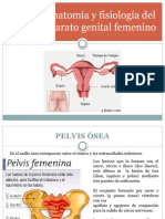 Semana 2 Anatomia y Fisiologia de La Mujer