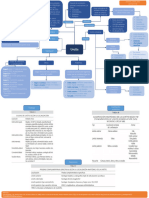 Mapa Conceptual Uveitis