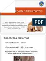 Vacinação em Pequenos Animais