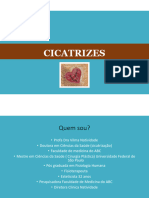 Cicatrizes PDF