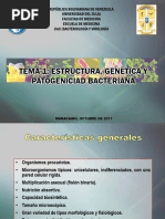 Estructura de la Pared Celular Bacteriana | PDF | Bacterias Gram ...