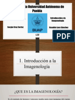 Introduccion A La Imagenologia