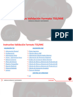 Instructivo Validación Formato TSS-ANE Version 2.1