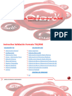 Instructivo Validación Formato TSS-ANE Version 2.1