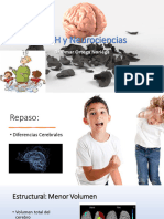 TDAH y Neurociencias