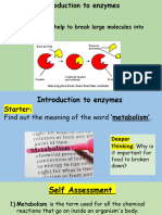 L5 Introduction To Enzymes